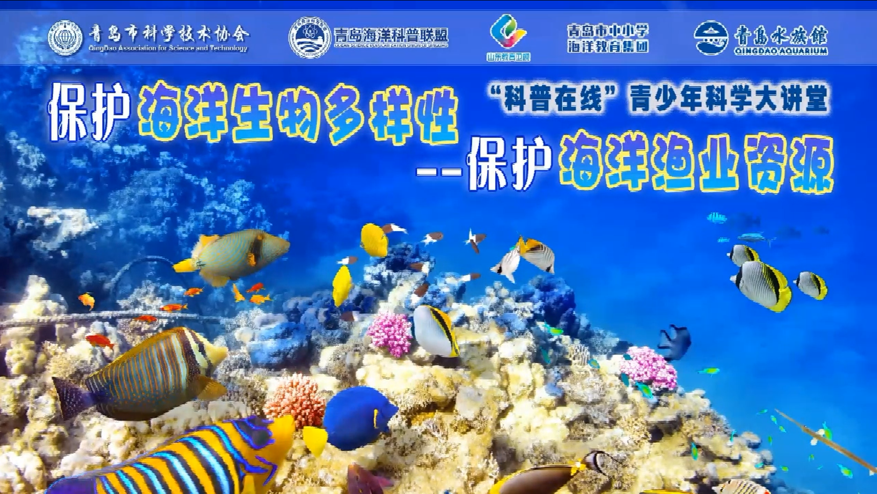 保护海洋生物多样性